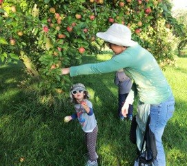After the Harvest-gleaning apples After the Harvest-gleaning apples