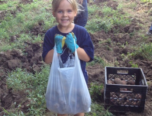 Veggies are healthy, but volunteering is good for you, too!