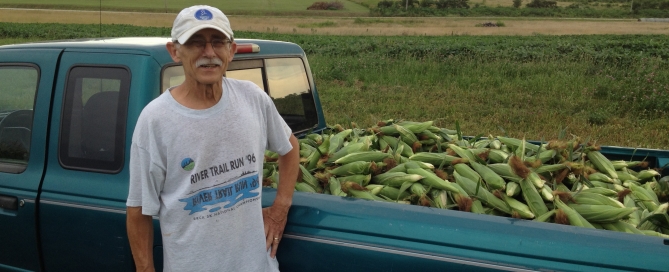Bill Conway, gleaning corn, field supervisor