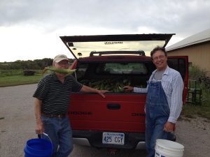 Help rescue corn at a farm near Bonner Springs KS