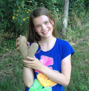 Potato gleaning at a farm in Kansas City KS