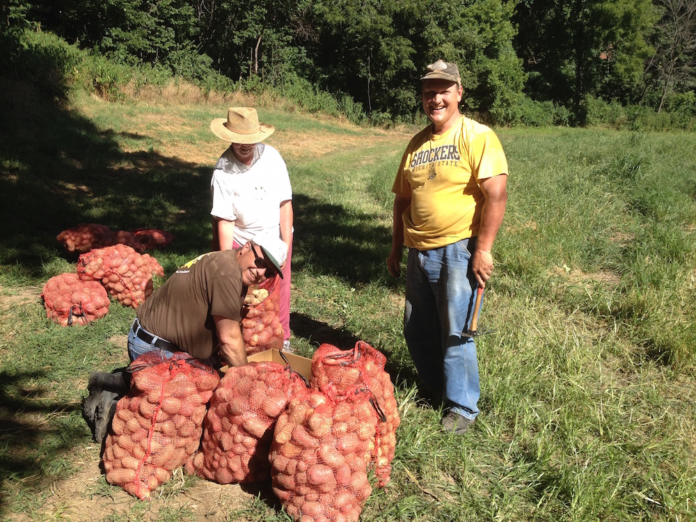 volunteers with potato sacks fresh potatoes