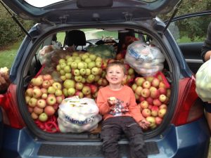 Apple gleaning at an orchard near Bonner Springs KS