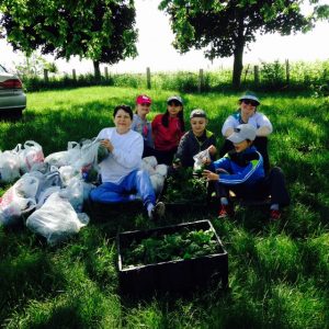 Help prep for growing season at a beautiful farm near St. Joseph @ A beautiful farm near St. Joseph