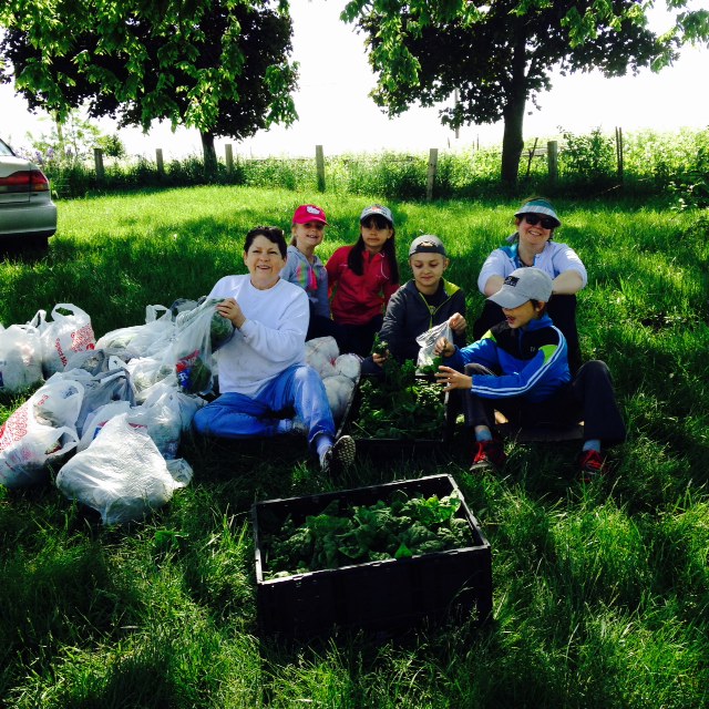 volunteers packing up freshly picked produce