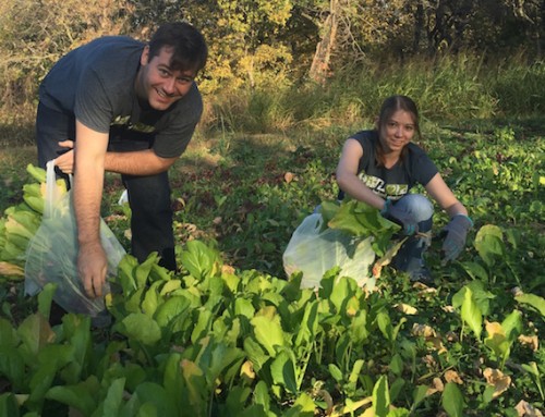 Gleaning sign up dates posted! Reserve your dates now!