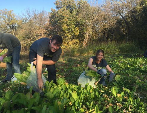 Glean with a team of new friends this year on weekday mornings!