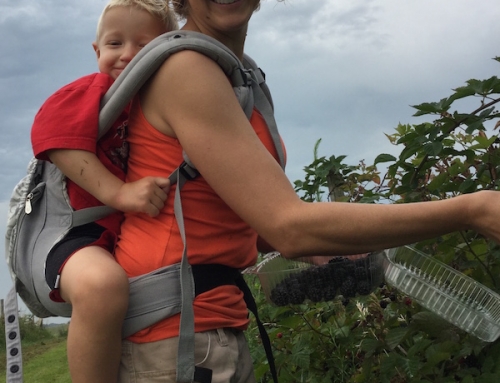 Thank you for your time, talent and financial support in 2015