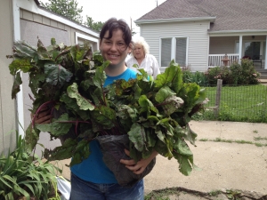 Schedule your late May gleaning now:  Radishes, onions, greens @ KS & MO Farms (most within an hr. of KC).  April-August--usually 7:30-10 a.m.