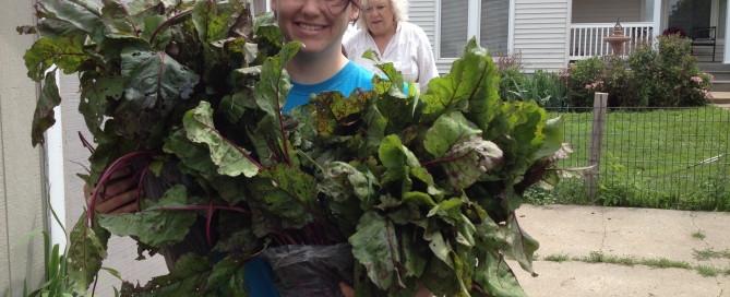 Greens, gleaning