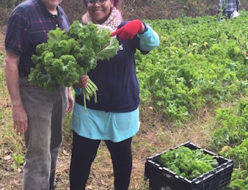 The joy of marketing with a mission