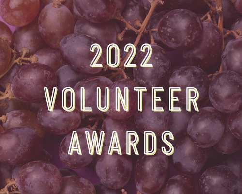 2022 Volunteer Awards