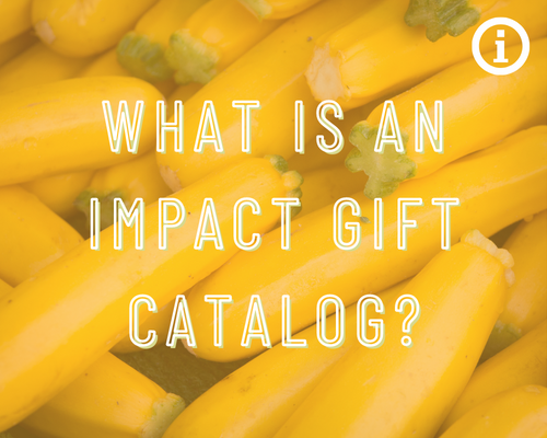 What is an Impact Gift Catalog?