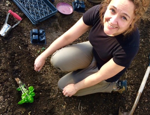 Mindy joins ATH.  We’re now a staff of four!!!