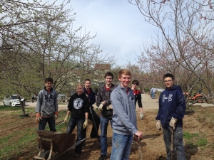 Schedule your late April gleaning now:  Kale, onions, greens @ KS & MO Farms (most within an hr. of KC). April-August--usually 7:30-10 a.m.
