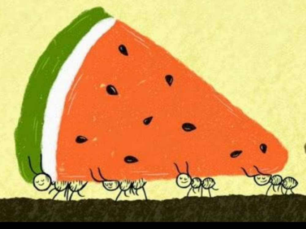 Ants and a Watermelon