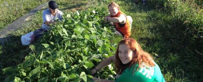 ath-glean-beans