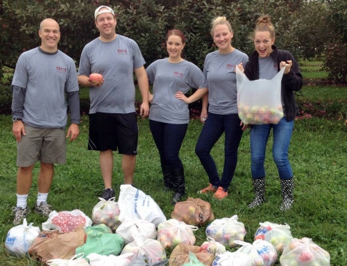 Gleaning Effort Tips the Scale Today at 1400 Pounds
