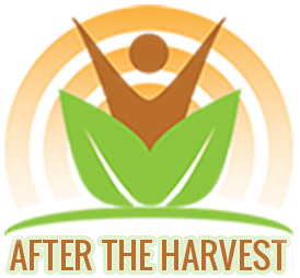 After the Harvest