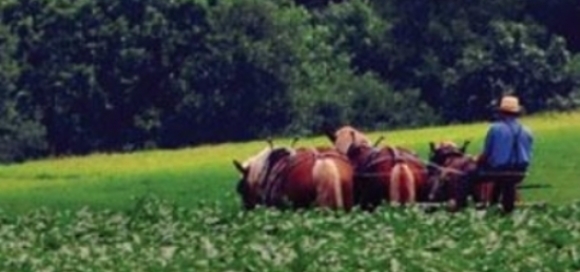 ath_plow_fields