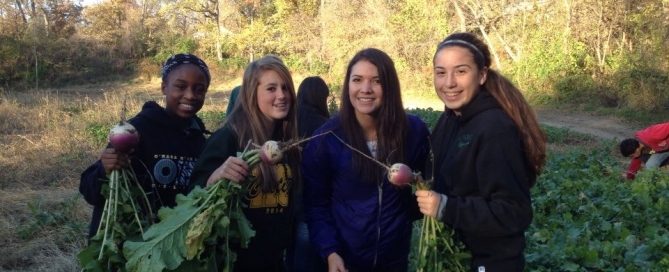 ath_turnips