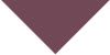 purple triangle